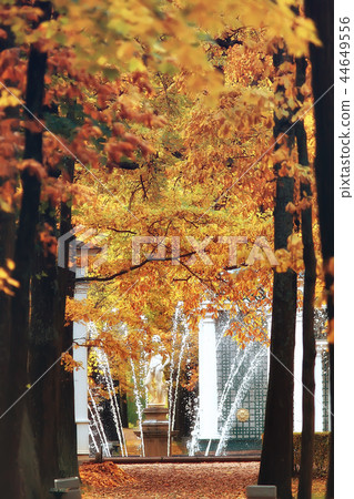 fountain peterhof autumn / landscape in the park peterhof fountains in the autumn season fountain peterhof autumn / landscape in the park peterhof fountains in the autumn season 44649556