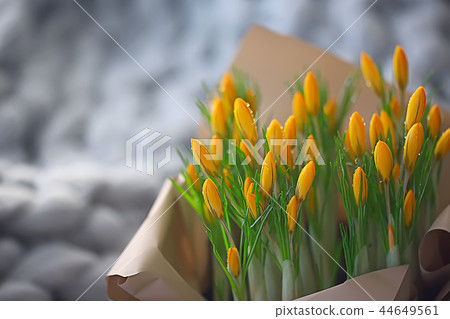 yellow wild flowers crocuses / bouquet of spring flowers, April gift, sunny morning yellow wild flowers crocuses / bouquet of spring flowers, April gift, sunny morning 44649561