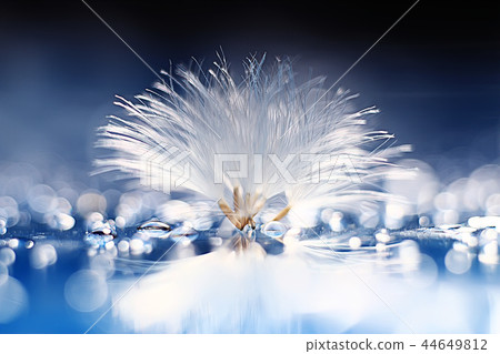 dandelion seeds on a light blue background, lightness, holiday 44649812