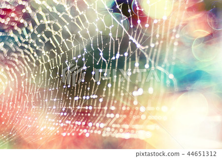 macro picture web / web strands, reflections and water drops on a background of the web macro picture web / web strands, reflections and water drops on a background of the web 44651312