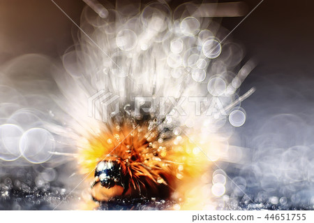 fluffy caterpillar / macro insect, larva, beautiful macro enlarged caterpillar 44651755