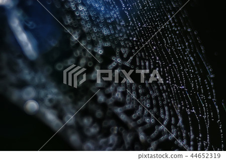 macro picture web / web strands, reflections and water drops on a background of the web 44652319