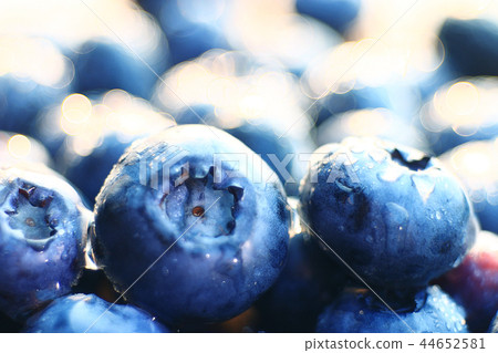 fresh berries blueberries close-up scattered fresh berries blueberries close-up scattered 44652581