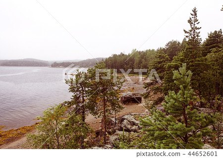 nature pine lake sky landscape 44652601