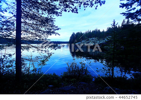 landscape coniferous forest water stones landscape coniferous forest water stones 44652745