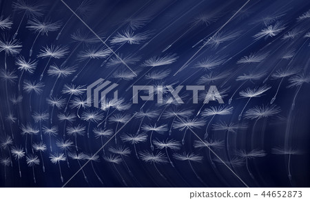 Dandelion seeds macro parachute ballet nature background Dandelion seeds macro parachute ballet nature background 44652873