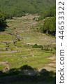 在山上的梯田 44653322