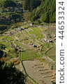在山上的梯田 44653324