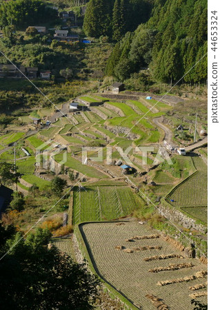 在山上的梯田 在山上的梯田 44653324