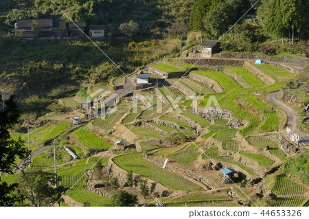 從上面看到的階段場 44653326