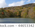 湖和秋葉 44653342