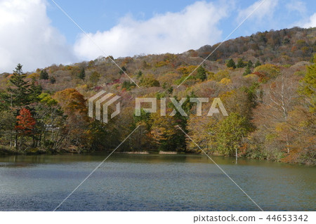 湖和秋葉 44653342