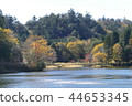 森林和湖泊 44653345