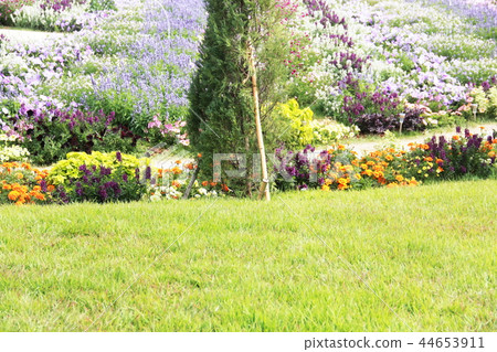 草坪花園和花壇 44653911