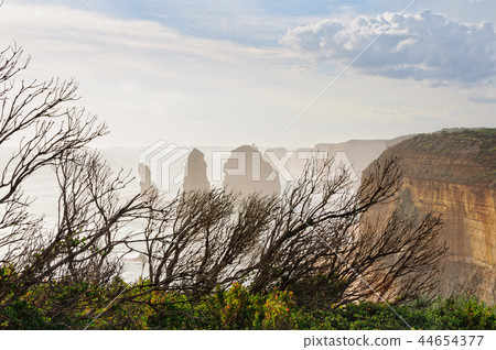 Dry Shrub - Great Ocean Road Dry Shrub - Great Ocean Road 44654377