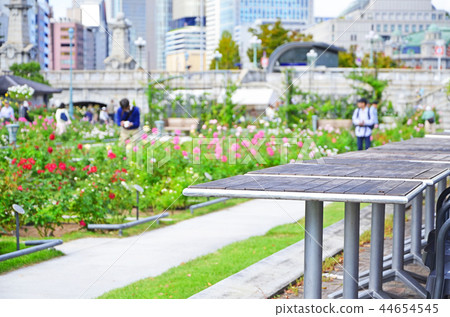 大阪Nakanoshima玫瑰園的風景 44654545