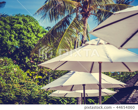 White umbrella with coconut palm tree with sea ocean White umbrella with coconut palm tree with sea ocean 44654860
