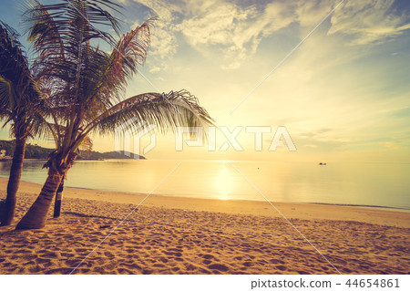 At sunset time on the tropical beach and sea with coconut palm tree At sunset time on the tropical beach and sea with coconut palm tree 44654861
