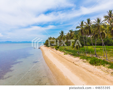 Aerial view of beautiful tropical beach and sea with palm and other tree in koh samui island 44655395