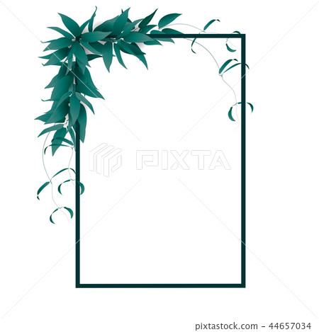 frame with leaves on white background frame with leaves on white background 44657034