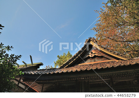 金澤市酒井神社 金澤市酒井神社 44658279