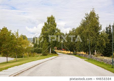 Road in Norway village 44658384