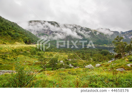 Landscape Landscape 44658576