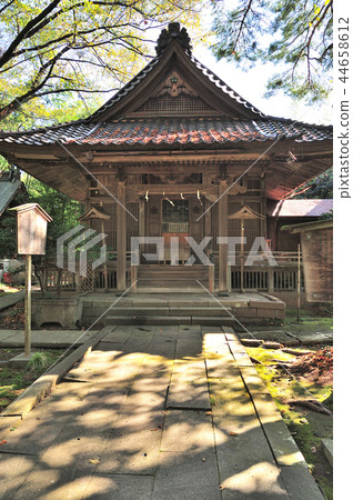 金澤市酒井神社 44658612