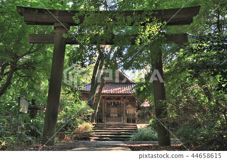 金澤市酒井神社 44658615