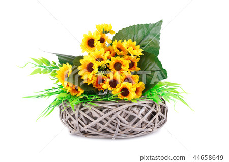 Flowers in basket 44658649