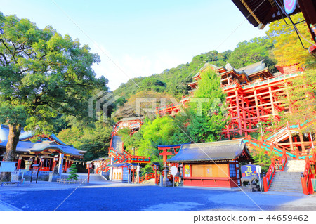 Autumn Shukutoku Inari Shrine (Kashima City, Saga Prefecture) 44659462
