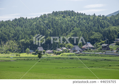Rural landscape Rural landscape 44659705