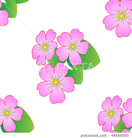 Seamless floral pattern with tropical flowers. Seamless floral pattern with tropical flowers. 44660005