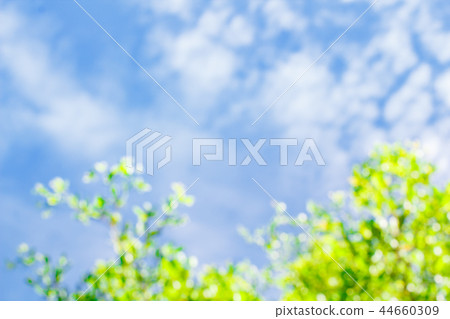 Clouds in the blue sky. 44660309