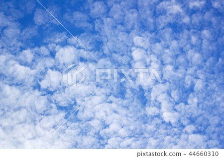 Clouds in the blue sky. 44660310