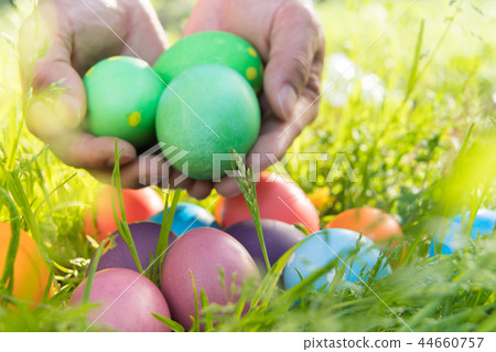 Easter egg colorful Easter sunday hunt holiday 44660757