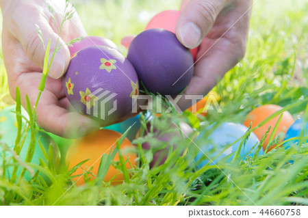 Easter egg colorful Easter sunday hunt holiday Easter egg colorful Easter sunday hunt holiday 44660758