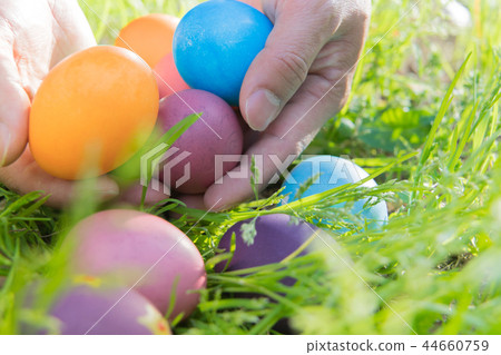 Easter egg colorful Easter sunday hunt holiday Easter egg colorful Easter sunday hunt holiday 44660759