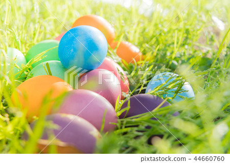 Easter egg colorful Easter sunday hunt holiday Easter egg colorful Easter sunday hunt holiday 44660760