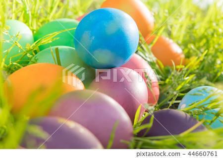 Easter egg colorful Easter sunday hunt holiday Easter egg colorful Easter sunday hunt holiday 44660761