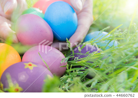 Easter egg colorful Easter sunday hunt holiday Easter egg colorful Easter sunday hunt holiday 44660762