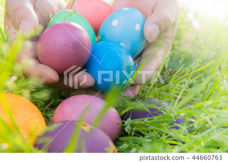 Easter egg colorful Easter sunday hunt holiday Easter egg colorful Easter sunday hunt holiday 44660763
