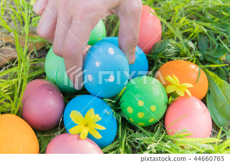 Easter egg colorful Easter sunday hunt holiday Easter egg colorful Easter sunday hunt holiday 44660765