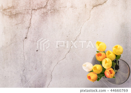 tulip flower in glass jar on cement background tulip flower in glass jar on cement background 44660769