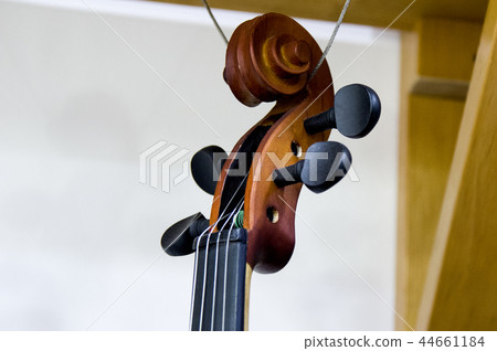 violin violin 44661184