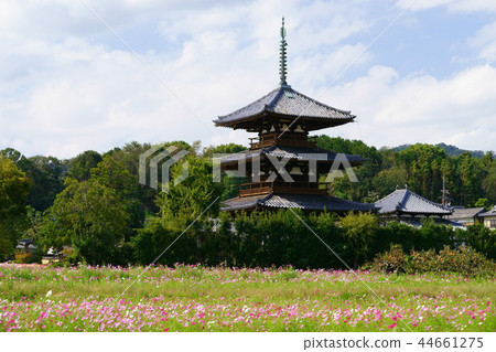 日本的Heart-Nara秋天Hokiji寺廟 44661275