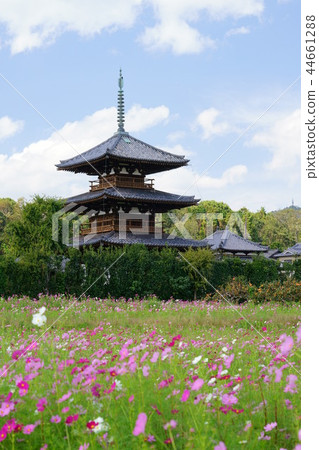 Ikaruga / Cosmos和Hokiji 3 Ikaruga / Cosmos和Hokiji 3 44661288