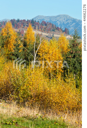 Morning autumn Carpathians landscape. Morning autumn Carpathians landscape. 44662276