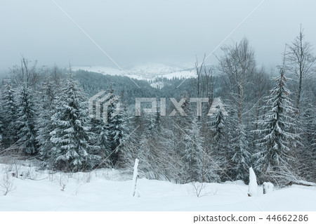 Early morning winter mountain landscape Early morning winter mountain landscape 44662286
