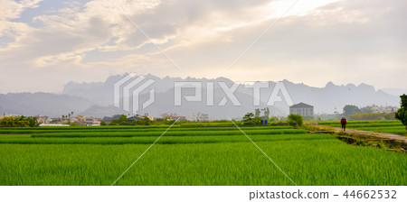 No. 1 farmer in the field of oil and oil, by Dr. Kata Tadashi, by Tensai Unsai Akira. No. 1 farmer in the field of oil and oil, by Dr. Kata Tadashi, by Tensai Unsai Akira. 44662532
